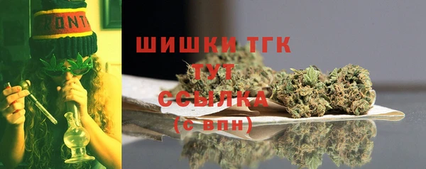 трава Карпинск