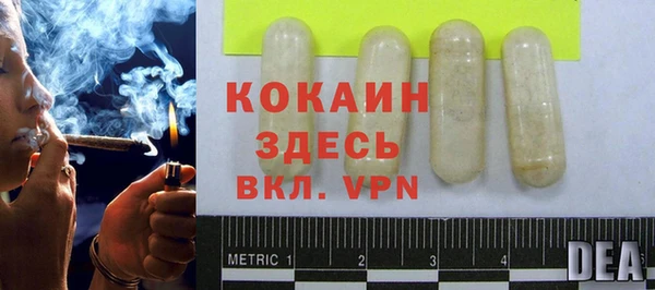 дмт Касимов