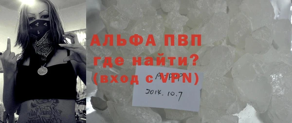 трава Карпинск