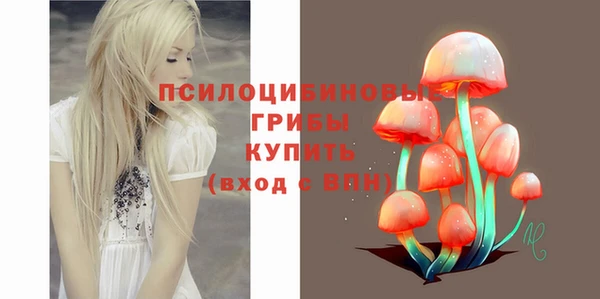 дмт Касимов