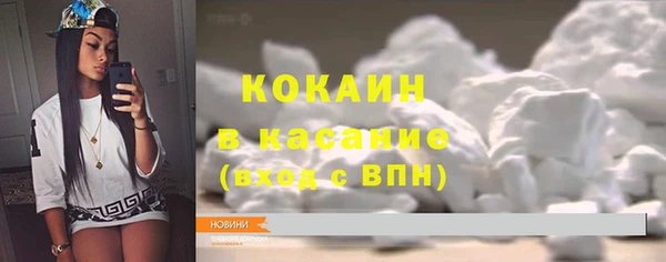 трава Карпинск