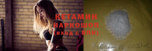 трава Карпинск