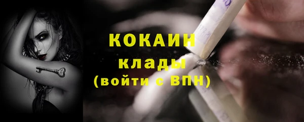 трава Карпинск