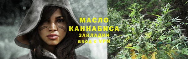 дмт Касимов