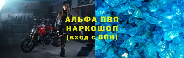 дмт Касимов
