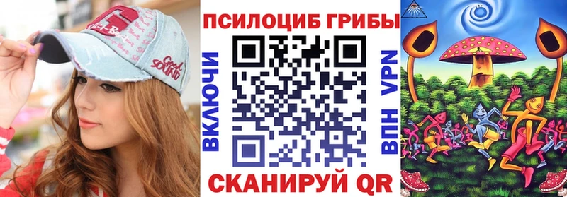 Псилоцибиновые грибы мицелий  Купить где  Ильский 